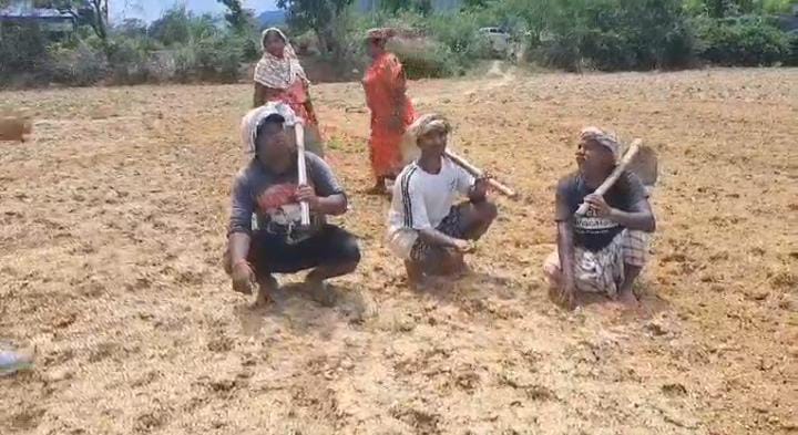 मानसून के रुखे रवैये से किसानों में फैली मायूसी! कोल्हान के किसान बारिश नहीं होने से हुए परेशान  