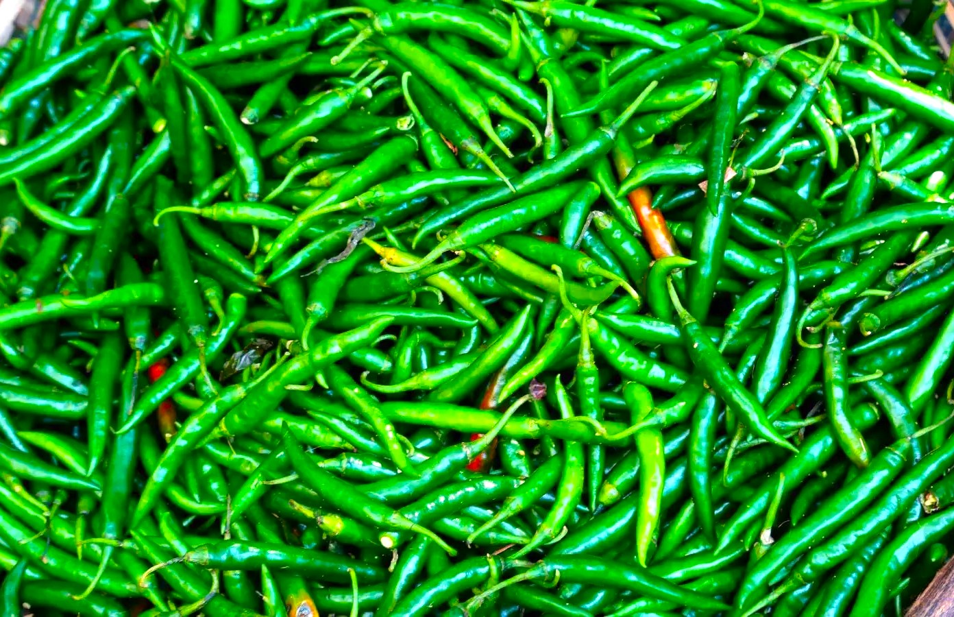 इस तीखी मिर्ची के फायदे जान हो जाएंगे हैरान, लंग्स कैंसर रोकने में भी है बड़ा कामगार