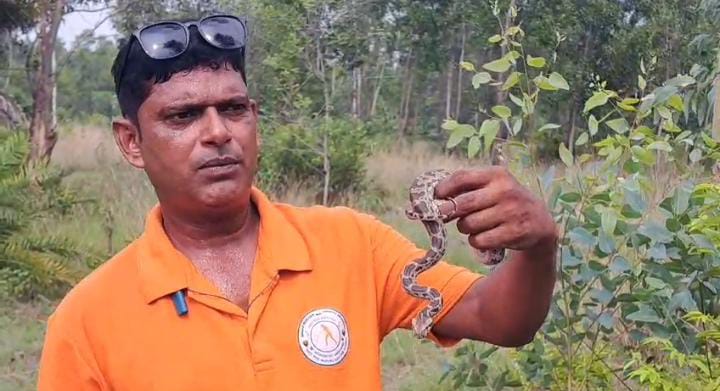 धूमधाम से मनाया गया वर्ल्ड स्नेक डे, पढ़ें क्यों मनाया जाता है सांपों को समर्पित यह दिन