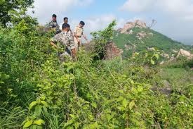 BIG BREAKING:- दुमका मे मिल एक युवती का अधजला शव, जांच मे जुटी पुलिस