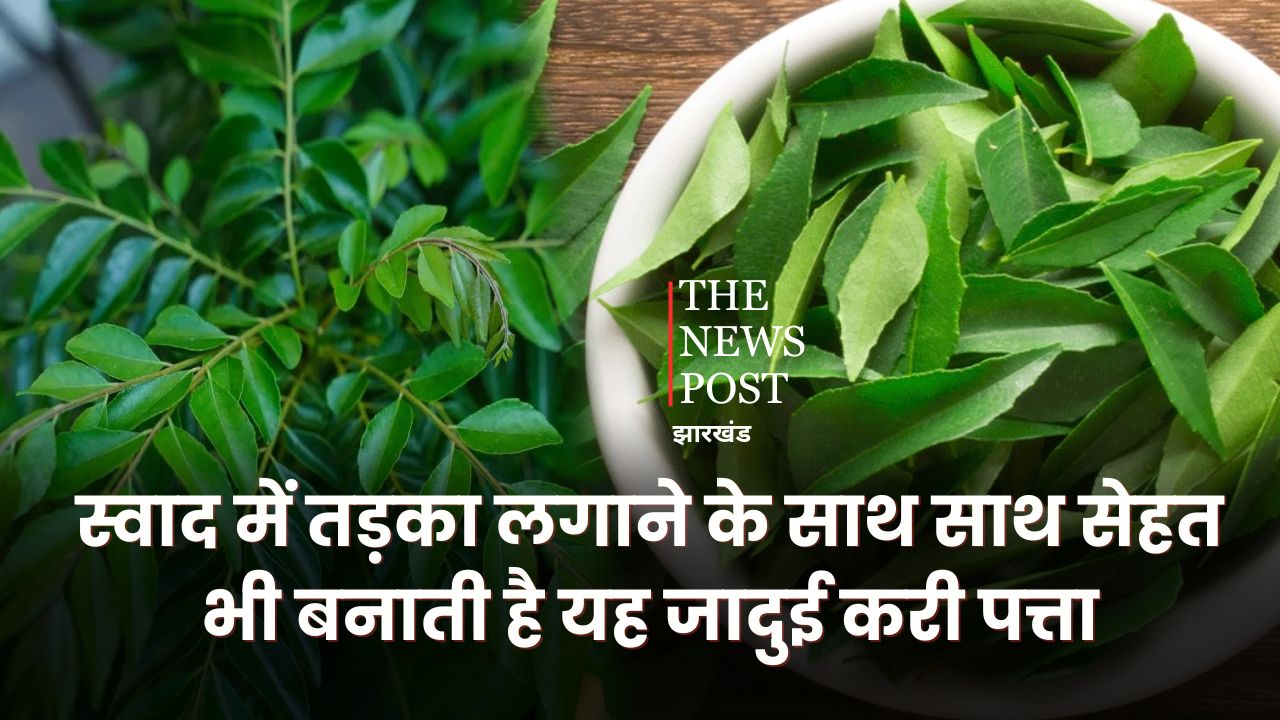 स्वाद में तड़का लगाने के साथ साथ सेहत भी बनाता है यह जादुई करी पत्ता