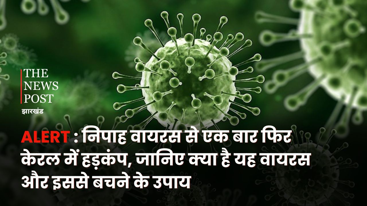 ALERT : निपाह वायरस से एक बार फिर केरल में हड़कंप, जानिए क्या है यह वायरस और इससे बचने के उपाय 