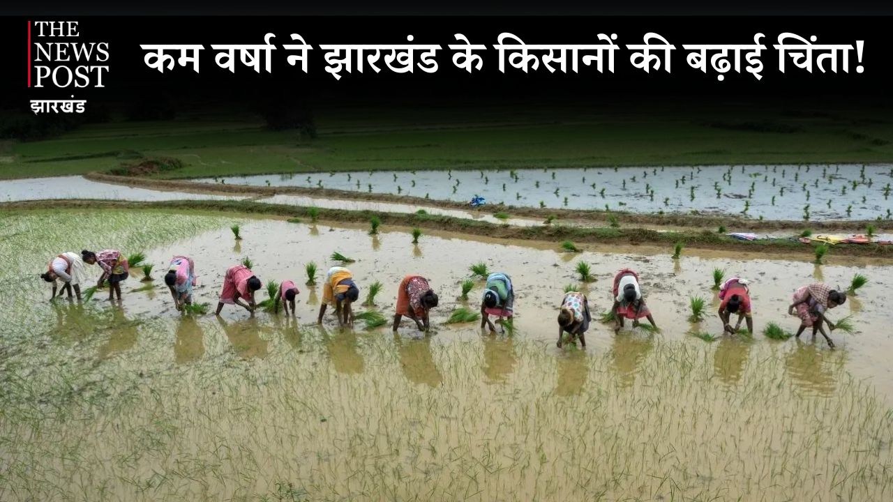 कम वर्षा ने झारखंड के किसानों की बढ़ाई चिंता, सामान्य से 47 प्रतिशत कम हुई बारिश, पाकुड़ में सबसे कम वर्षा