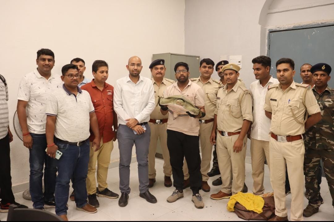 Sahibganj News:कछुआ तस्करी के खिलाफ डीएफओ की बड़ी कार्रवाई, आंनद विहार एक्सप्रेस से तीन कछुआ बरामद, कीमत सुन उड़ जायेंगे होश
