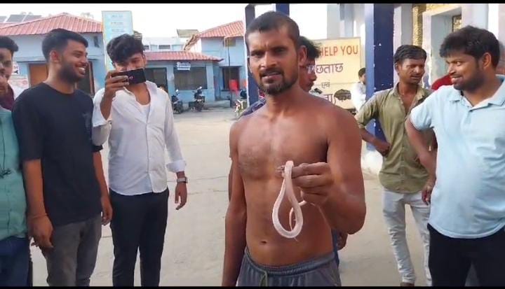 खतरों का खिलाड़ी! जहरीले सांप के डंसने पर युवक ने किया ऐसा कारनामा कि हैरान रह गये लोग, पढ़ें पूरा मामला