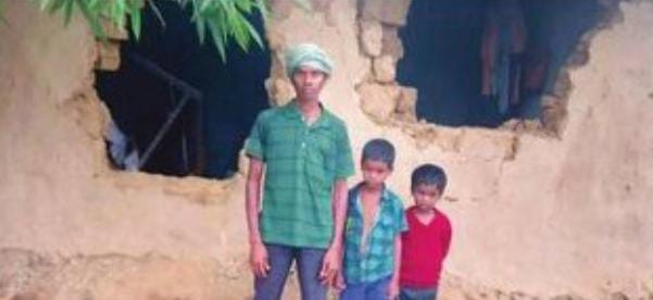 चान्हो में हाथियों का झुंड फैला रहा आतंक, फसल के साथ कई घरों को किया क्षतिग्रस्त