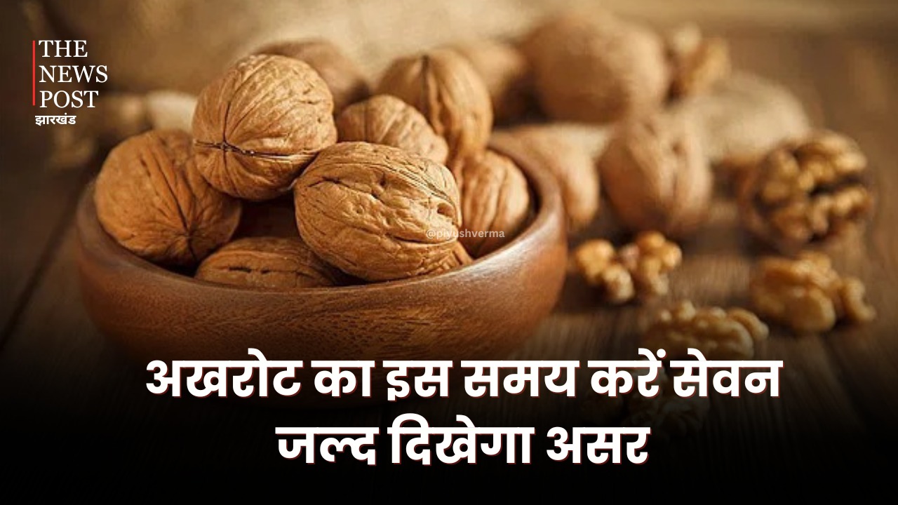 Health Tips: सिर्फ याददाश्त ही नहीं वजन घटाने में भी फायदेमंद है अखरोट, इस समय करें इसका सेवन जल्द दिखेगा असर