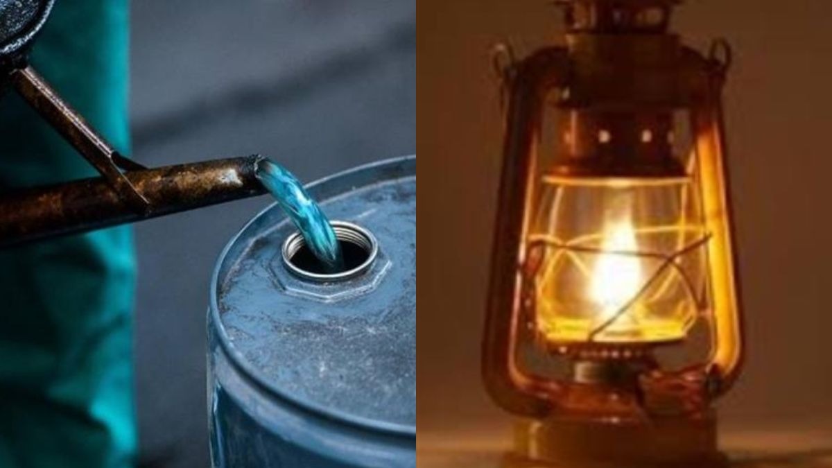 एक समय था जब इसके बिना जीवन की गाड़ी चलती नहीं थी, पढ़िए अब क्यों हो जाएगा इतिहास! 