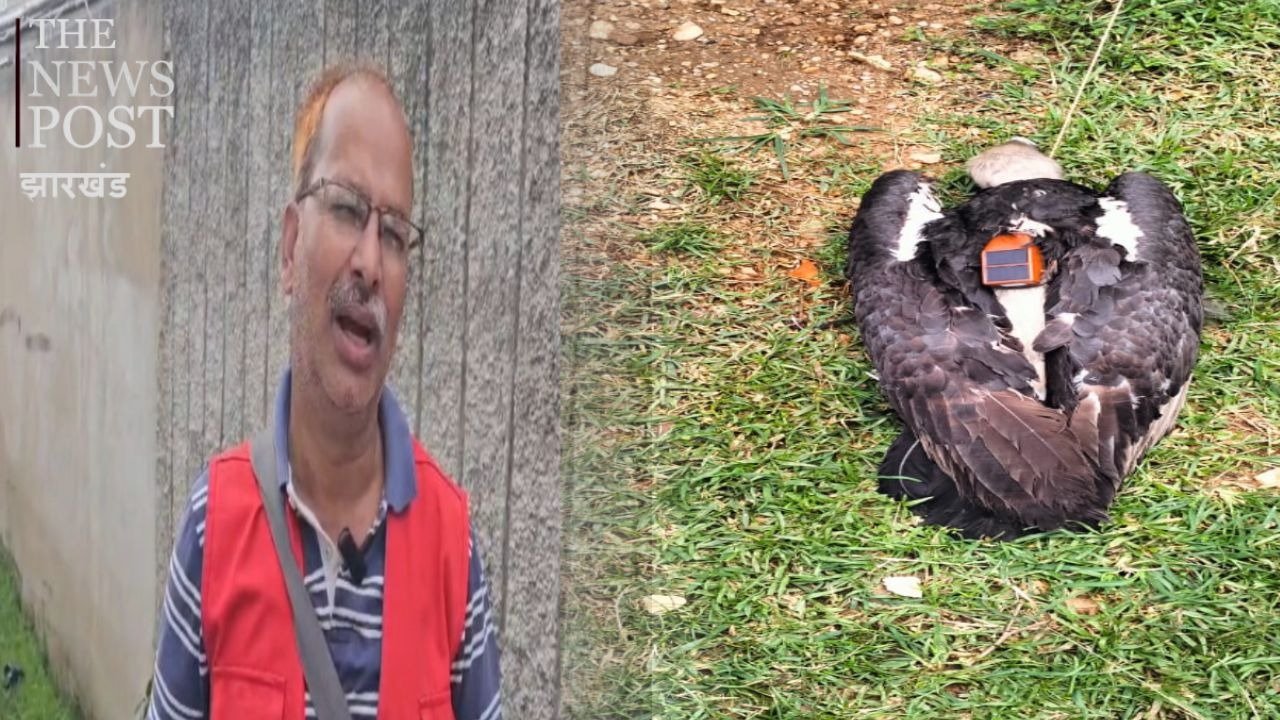 बांग्लादेश से कैसे हजारीबाग पहुंचा गिद्ध, जांच में हुआ बड़ा खुलासा