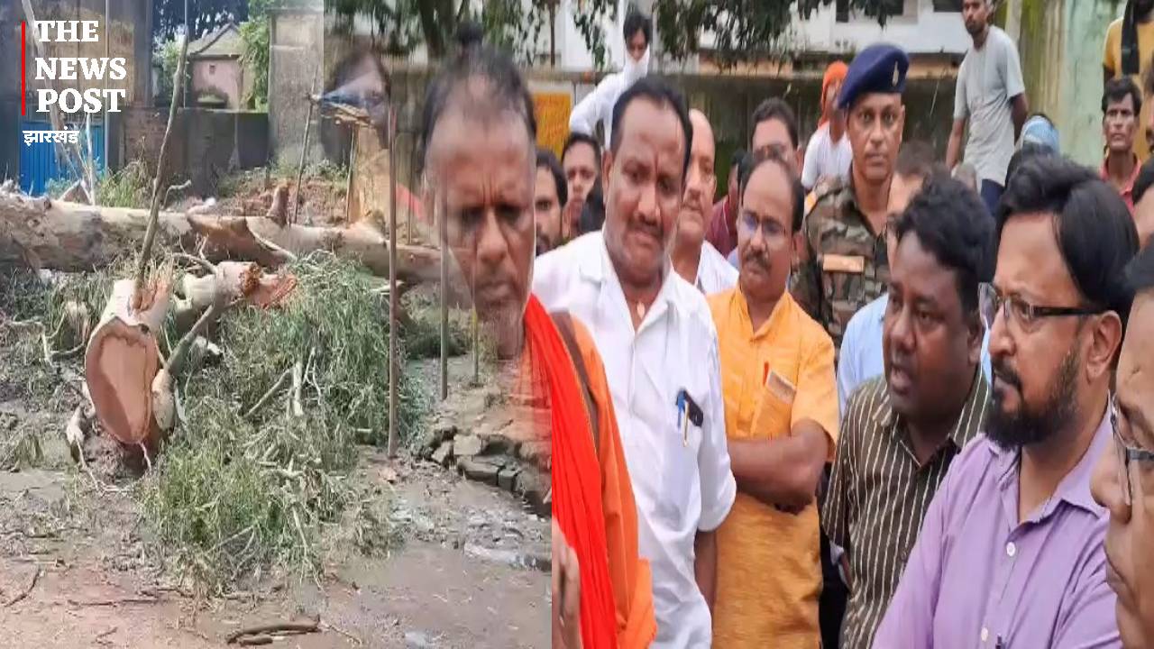 गुमला में अवैध रूप से पेड़ की कटाई पर भड़के  ग्रामीण, लकड़ी माफियाओं के खिलाफ किया प्रदर्शन 