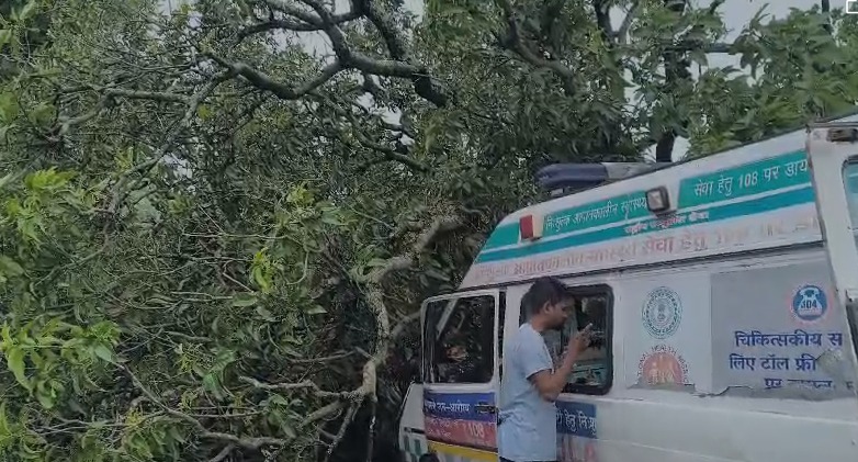दुमका: एम्बुलेंस पर गिरा विशाल पेड़, बाल- बाल बचा मरीज़, चालक ज़ख्मी