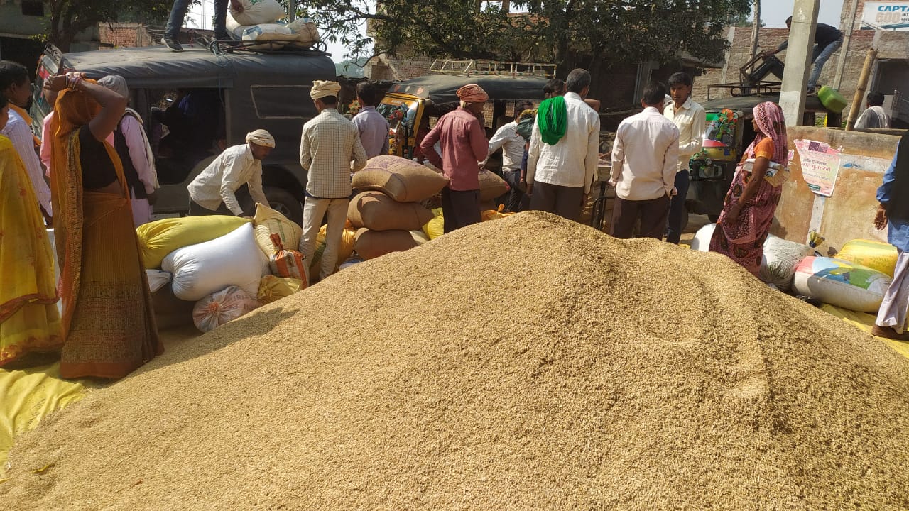 पलामू  में किसानों के साथ छल, धान खरीद में 43 करोड़ 20 लाख का घोटाला !