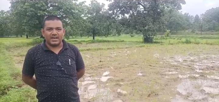 गढ़वा में गजराज का आतंक! खेतों में लगी फसल बर्बाद होने से परेशान हैं किसान,पढ़ें क्या कर रहा है वन विभाग 