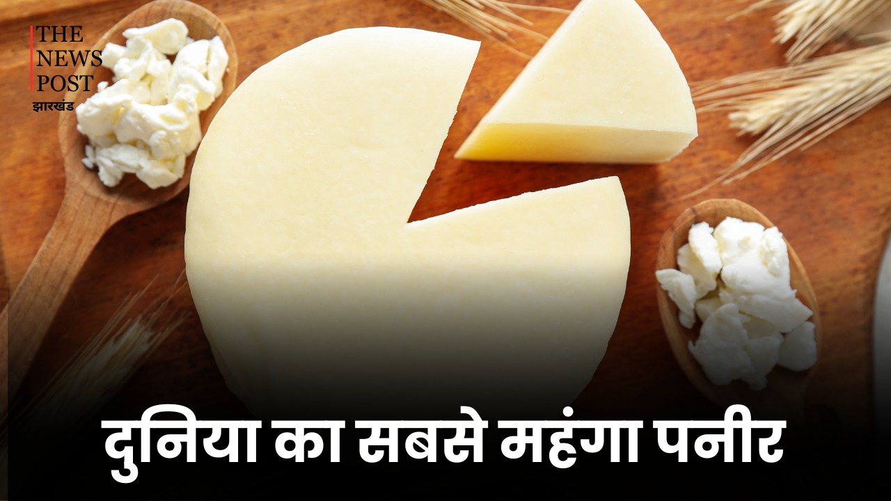 यहां मिलता है विश्व का सबसे महंगा पनीर, कीमत सुन उड़ जायेंगे आपके होश, पढें किस जानवर के दूध से होता है तैयार