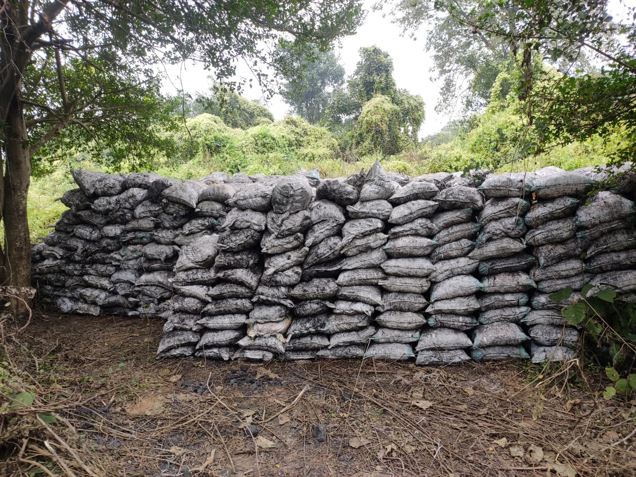 मुगमा में फायरिंग करने के बाद भागे कोयला चोर, भारी मात्रा में कोयला बरामद