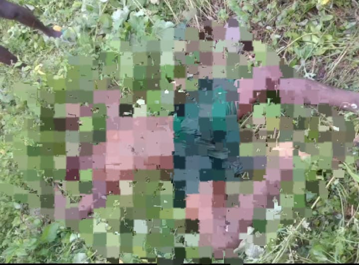 गढ़वा में नहीं थम रहा हाथियों का आतंक! हाथियों के झुंड ने एक की कुचलकर ली जान, ग्रामीणों में आक्रोश 