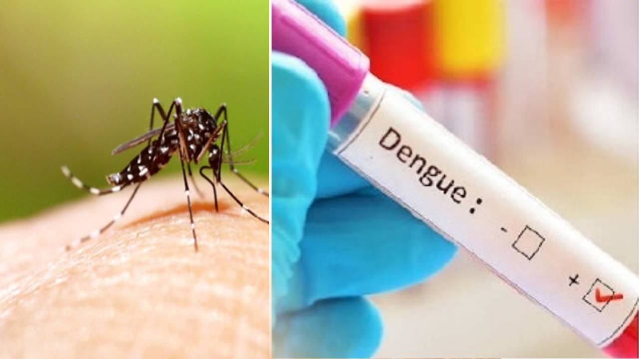 Breaking News: कर्नाटक सरकार ने डेंगू को घोषित किया महामारी, राज्य में 24 घंटों में आए 245 नए मामले, 7 लोगों की हुई मौत