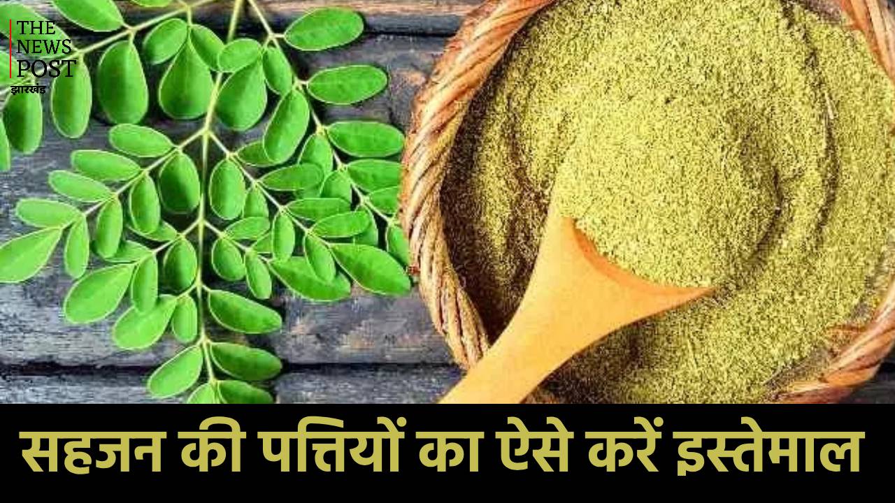 महिलाओं की सेहत के लिए काफी फायदेमंद है सहजन की पत्तियां, जानें इसके फायदे और कैसे करे इसका सेवन