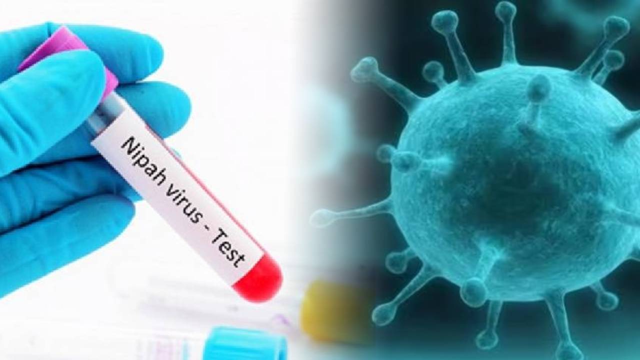एक बार फिर ‘निपाह वायरस’ ने बढ़ाई टेंशन, एक की हुई मौत, जानिए कैसे करें इस खतरनाक वायरस से बचाव