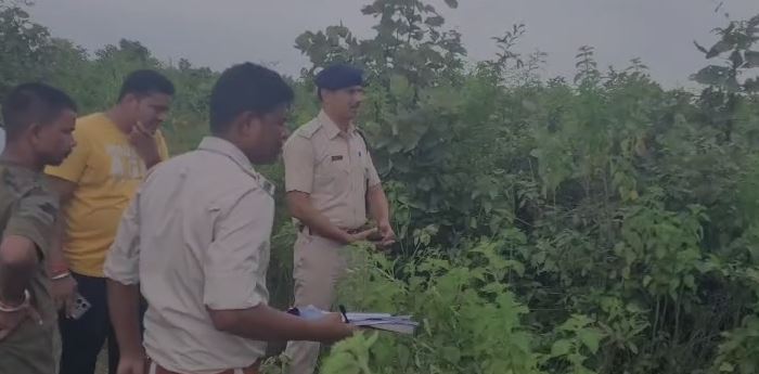 पेड़ से लटका मिला एक युवक का शव, जानिए क्या है पूरा मामला