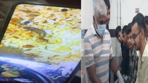 चिकन चावल में मिली छिपकिली, बेतिया इंजीनियरिंग कॉलेज में 30 छात्रों की खाना खाने से बिगड़ी तबीयत