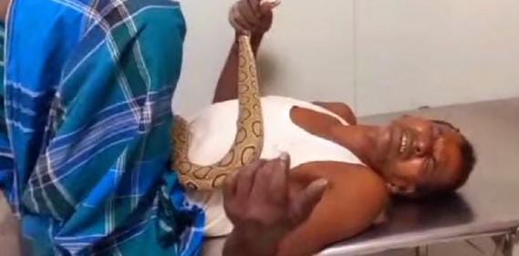 Bihar:खतरनाक रसेल वाइपर के डसते ही युवक ने किया ऐसा कारनामा की दंग रह गये लोग, आप भी पढ़ें हैरान करनेवाला मामला