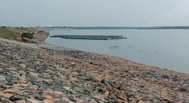 दुःखद: ससुराल आये दामाद की डैम में डूबने से मौत, छाया मातम