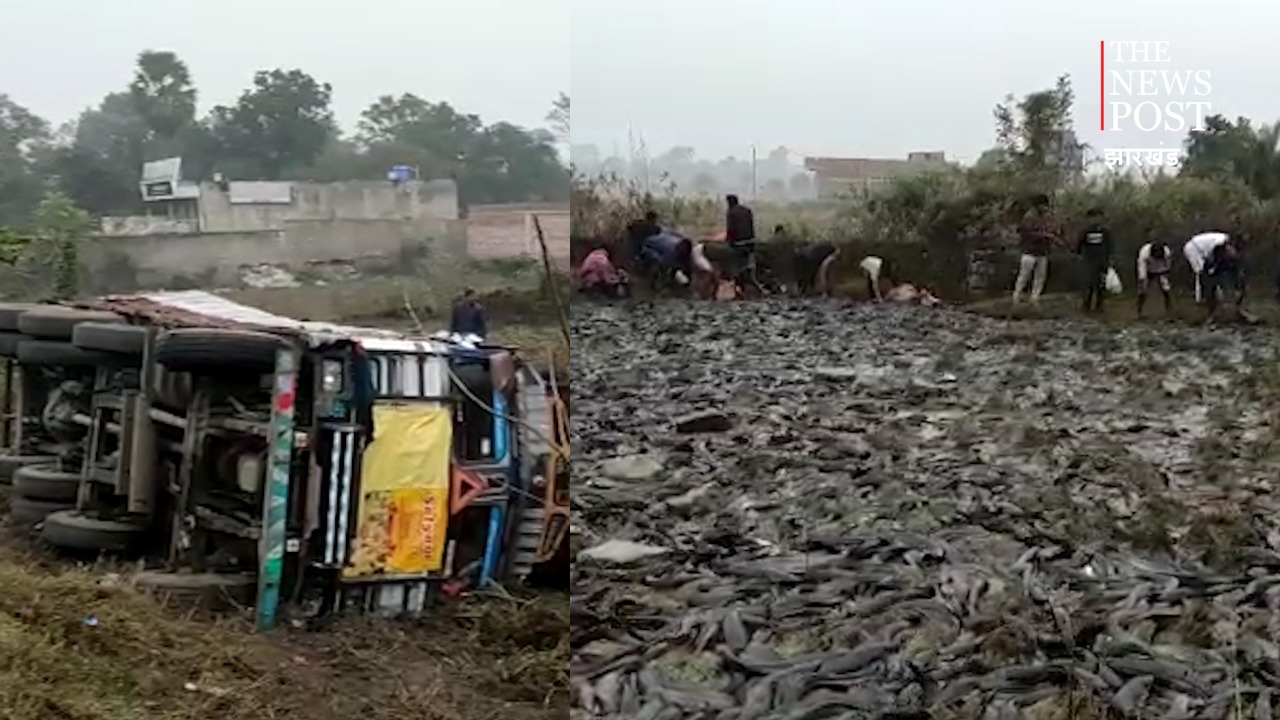 मछली की लूट..!  सड़कों पर  मछलियां ही मछलियां  ऐसा नज़ारा देख आप भी हो जाएंगे हैरान