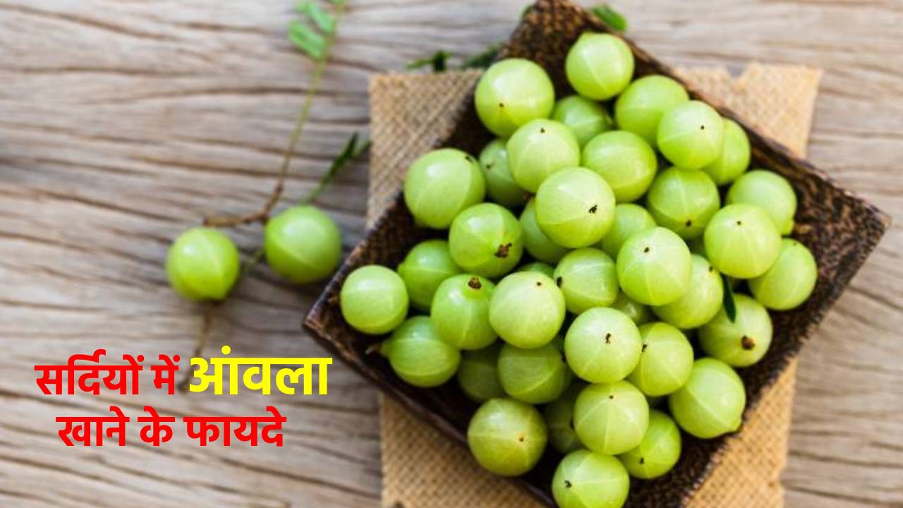Health Tips: सर्दियों में सेहत के लिए अमृत है आंवला, इन तरीकों से करें सेवन बीमारियों से रहेंगे कोसों दूर
