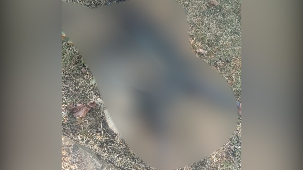 शिकारीपाड़ा में एक युवती का अधजला शव बरामद, जांच में जुटी पुलिस
