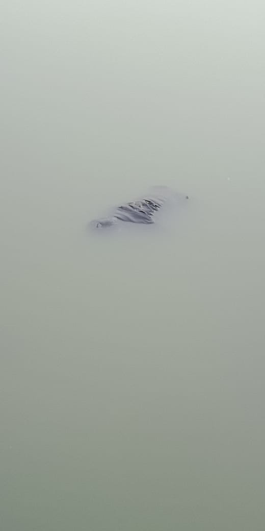 रांची के बड़ा तालाब से 9 वर्षीय बच्चे का शव बरामद.. दो दिन पहले मिला था एक महिला का शव ,जांच में जुटी पुलिस   