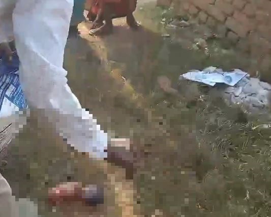 Breaking : गिरिडीह में कुत्तों के झुंड ने नवजात को नोच-नोचकर मार डाला, मची सनसनी