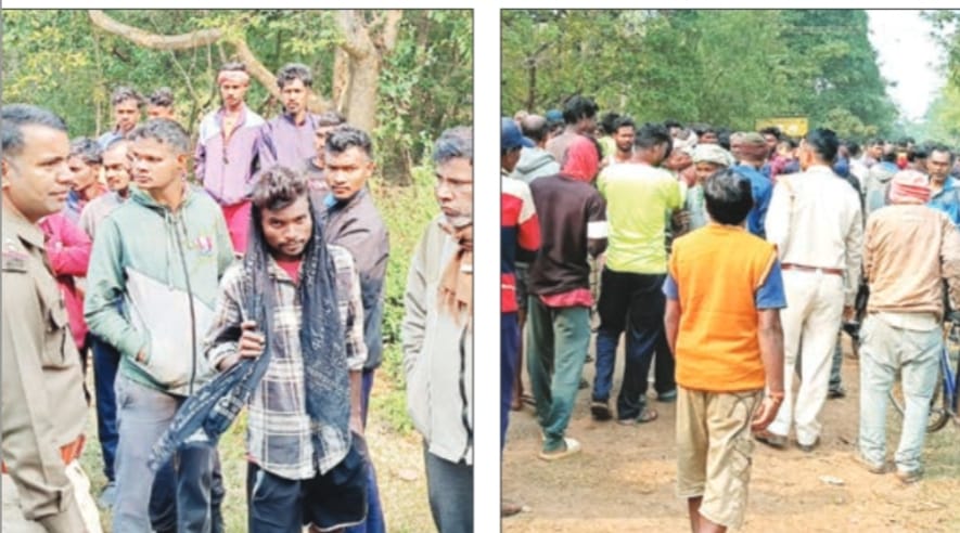 ओडिशा से भागकर झारखंड पहुंची बाघिन का रेस्क्यू करने में जुटा वन विधान, जानिए क्या है तैयारी