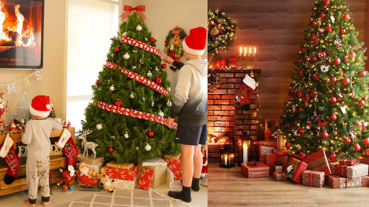 MERRY CHRISTMAS 2024: क्रिसमस ट्री का है रोचक इतिहास, क्या आप जानतें है इससे जुड़े राज़?