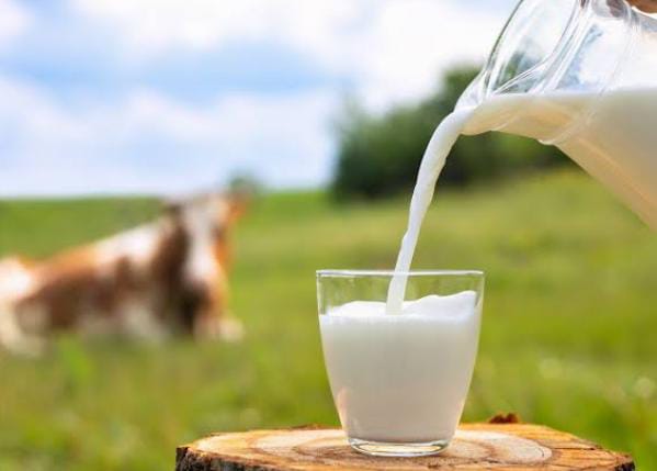 अजब-गजब: इस जानवर का दूध सफेद की जगह होता है काला, नहीं  है जानकारी तो पढ़े चौंकानेवाले फेक्ट