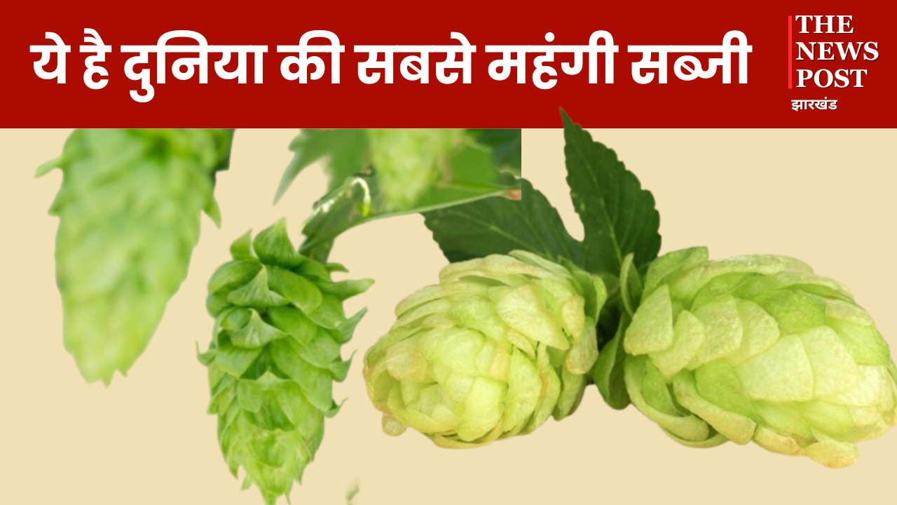 প্রাণিসম্পদমন্ত্রীর