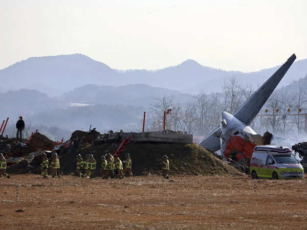 दक्षिण कोरिया में बड़ा विमान हादसा, 179 लोगों की मौत, जानिए कैसे हुआ