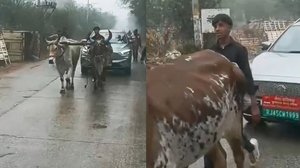 Viral Video : जब नेता जी की इलेक्ट्रिक कार ने बीच सड़क दिया धोखा तो देखिए फिर कैसे बैल बना सहारा
