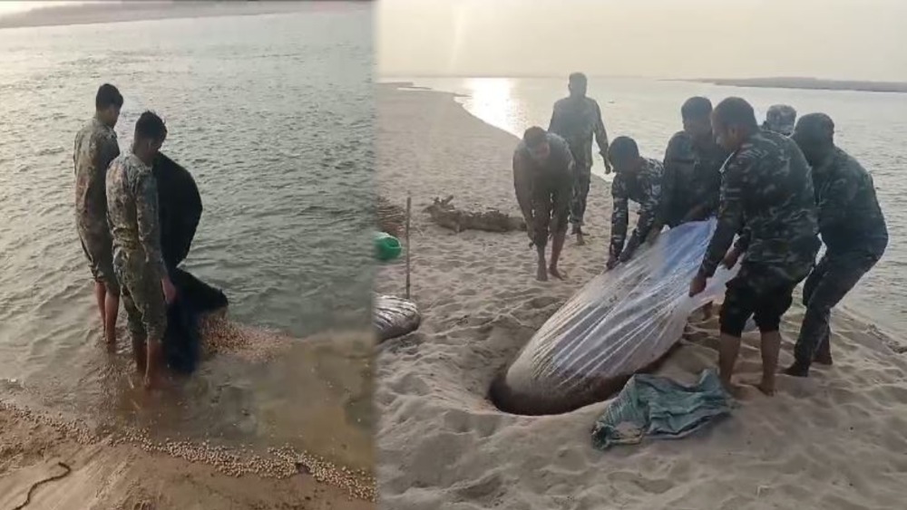 न्यू ईयर को लेकर पुलिस की बड़ी कार्रवाई, एक हजार किलो जावा महुआ व शराब किया गया नष्ट