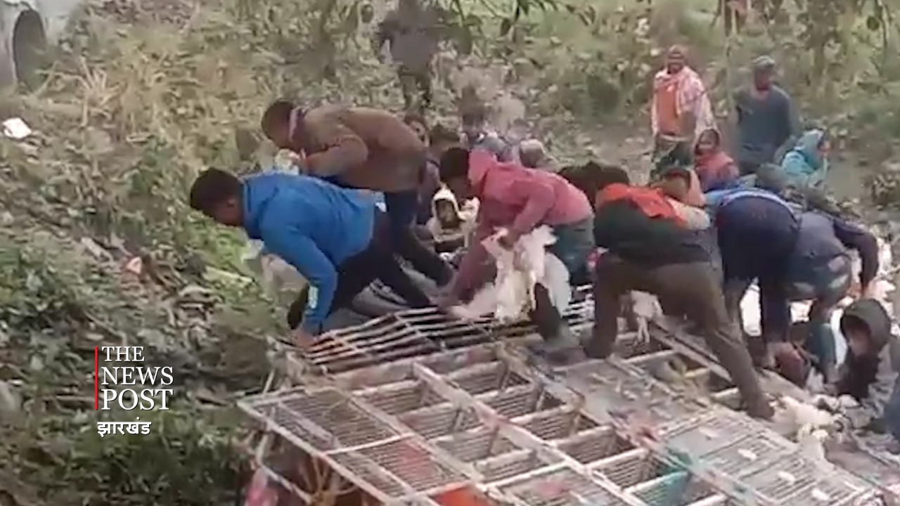 मुर्गों की लूट..!