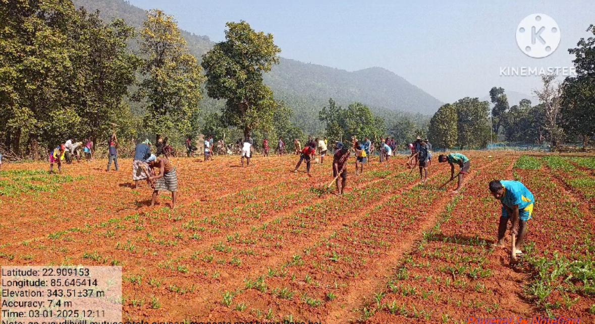 नक्सल और अपराधियों के खिलाफ ग्रामीणों का अभियान! आर्थिक तंत्र को कमजोर करने के लिए बढ़ाया कदम