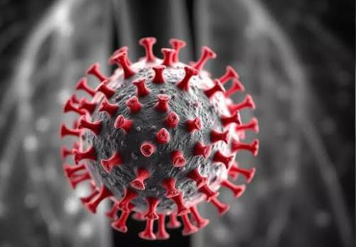 बिहार पर भी मंडरा रहा है HMPV वायरस का खतरा, स्वास्थ्य विभाग की ओर से पूरे राज्य में अलर्ट जारी, पढ़ें क्या है निर्देश