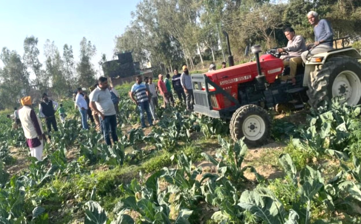 मुनाफा तो दूर लागत मूल्य भी नहीं मिलने से किसान परेशान, खेतों में छोड़ रहे हैं तैयार सब्जी