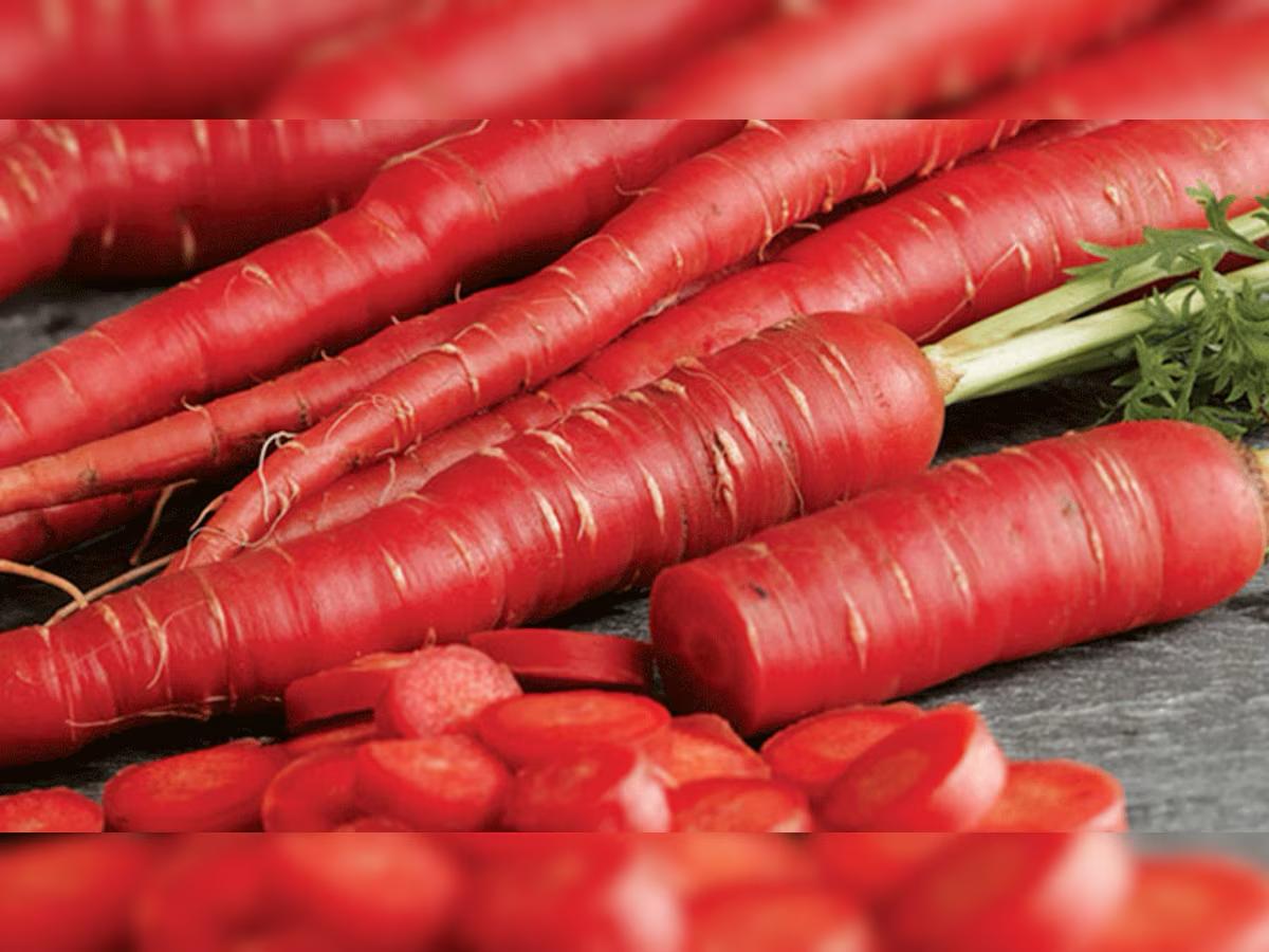 गाजर हर किसी के लिये नहीं होता फ़ायदेमंद, जानिए किन लोगों को खाने से करना चाहिए परहेज 