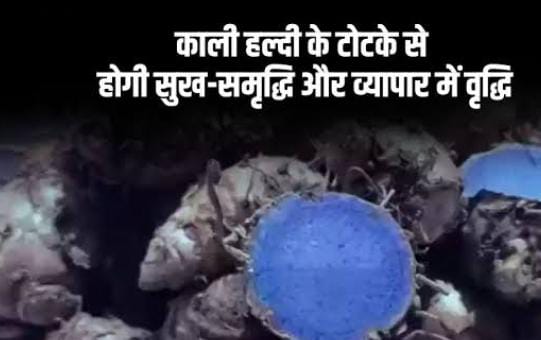 Vastu Tips: अगर आपके घर छा गई है कंगाली, तो जरुर करें काली हल्दी से जुड़ें ये उपाय, माता लक्ष्मी की बरसेगी विशेष कृपा