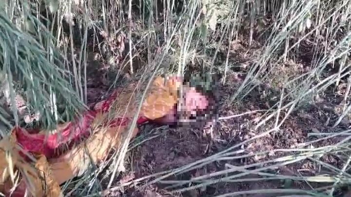मंदिर में पूजा कराने के बहाने साथ ले गया था पति, सरसों के खेत में गला रेतकर कर दी हत्या