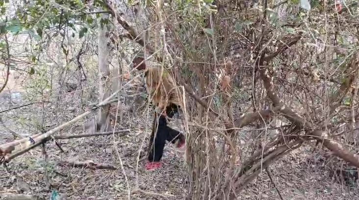 आग में झुलसे जिस युवक को पुलिस ने श्मशान घाट के किनारे से उठाकर PJMCH में कराया भर्ती, पोस्टमार्टम हाउस के पीछे मिला उसका शव