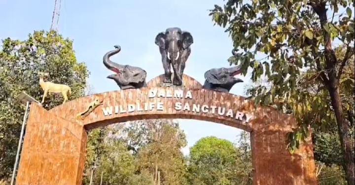 जमशेदपुर: दलमा वन क्षेत्र में गंदगी फैलाने वाले हो जाएं सावधान, सफाई पर सख्त हुआ वन विभाग, पढ़ें क्या हो सकती है कार्रवाई