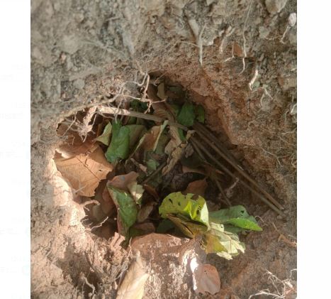 चाईबासा: जराईकेला के जंगलों में सुरक्षाबलों ने चलाया सर्च अभियान, बरामद किए 3 आईईडी बम, मिसिर बेसरा सहित कई नक्सलियों के एक्टिव होने की सूचना