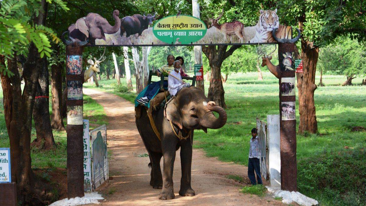 अगर आप बेतला नेशनल पार्क जाने का बना रहे हैं प्लान तो यह खबर आपके लिए है बेहद खास, जानें पूरा मामला